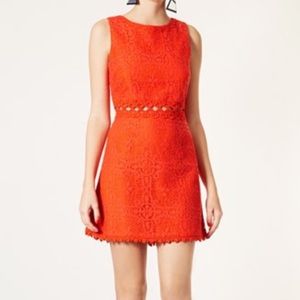 Topshop Crochet Orange Dress